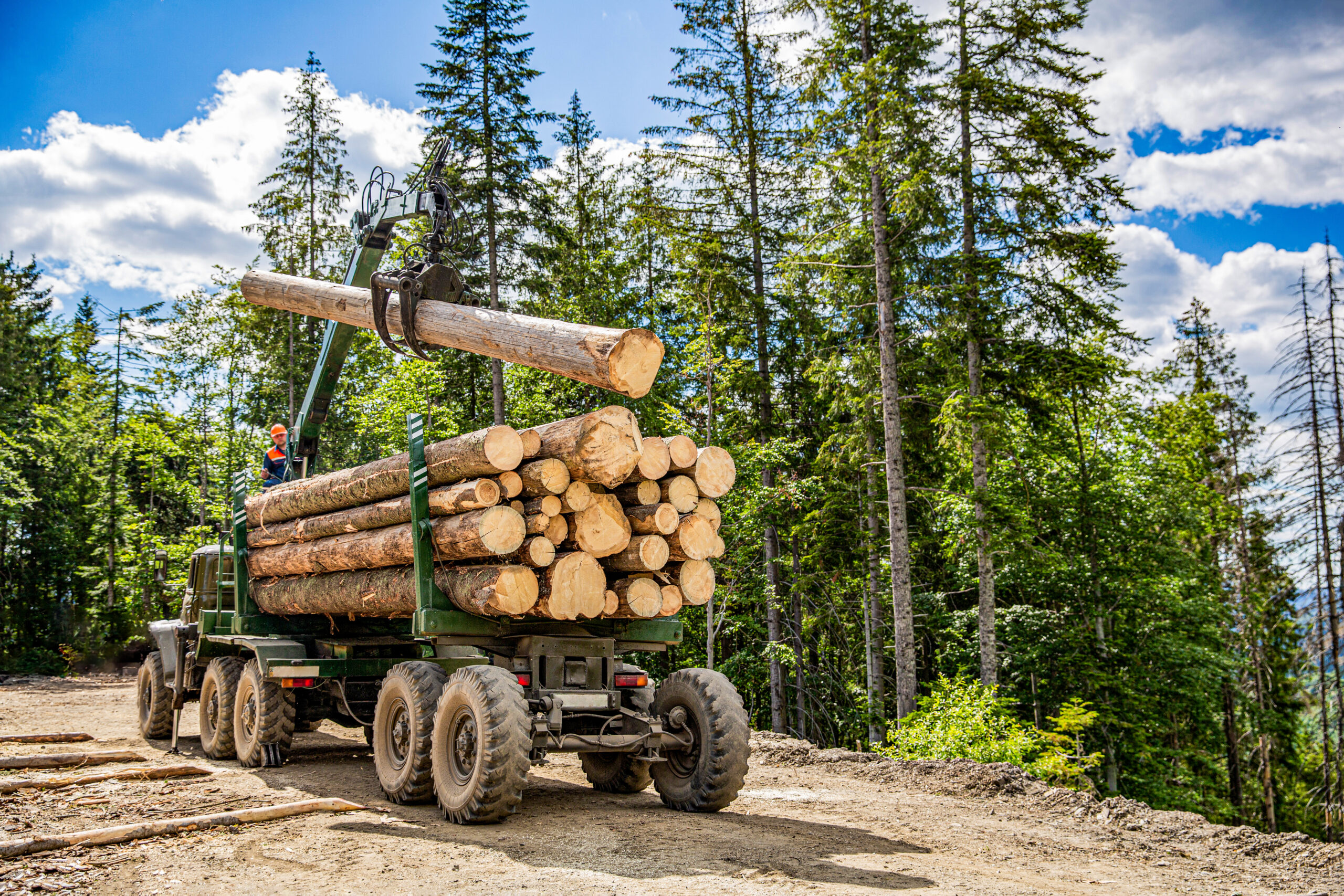 Foresterie au Québec : enjeux, pratiques modernes et rôle de la géomatique en 2026