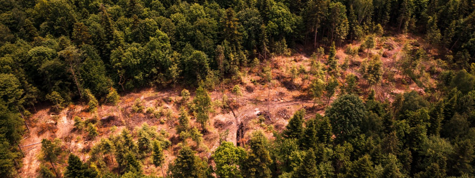 Construire une géomatique adaptée à la région