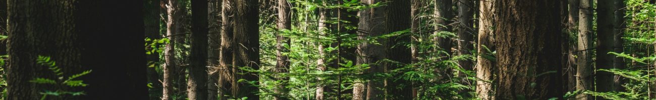 Foresterie privée et publique​_SYGIF