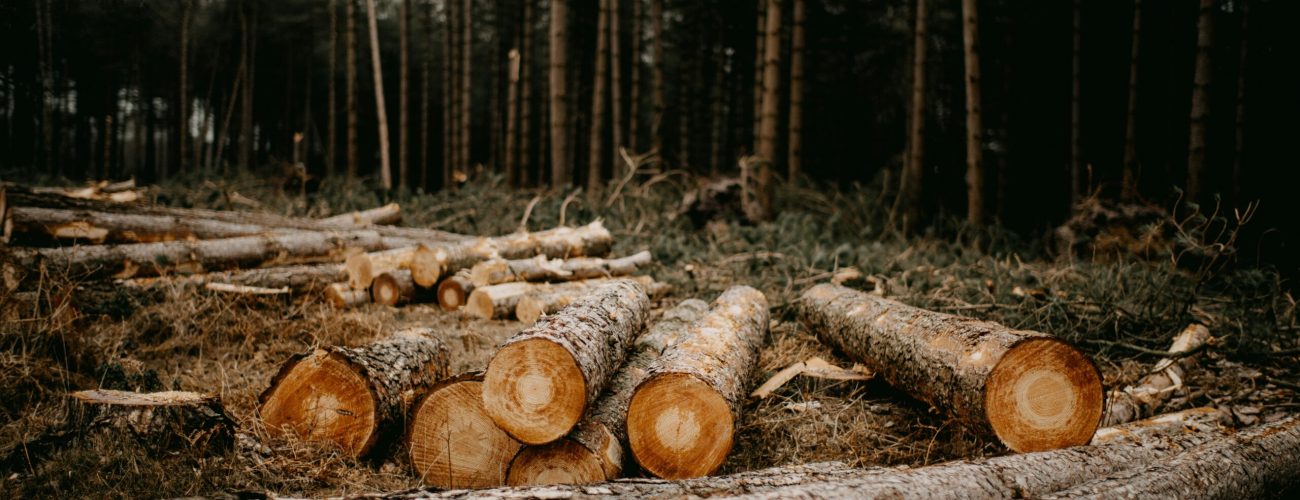 Gestion des opérations forestières par SIG_guide complet pour une foresterie moderne_SYGIF
