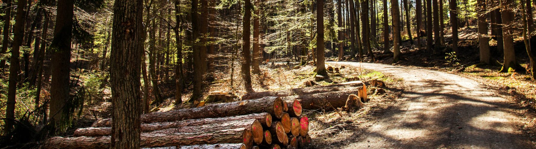 La foresterie québécoise en chiffres et en réalités
