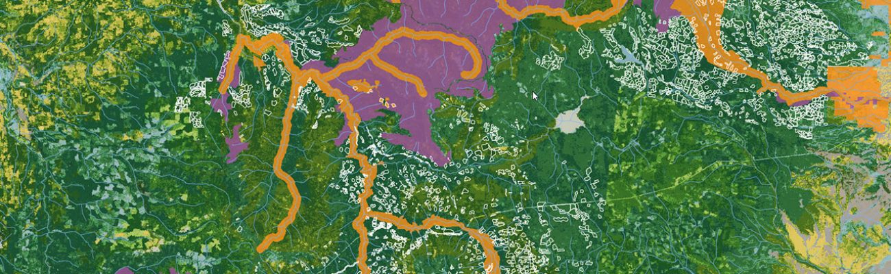 SIG_pourquoi le SIG est devenu incontournable en foresterie